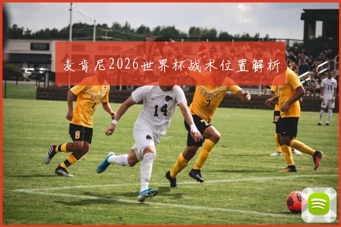 麦肯尼2026世界杯战术位置解析