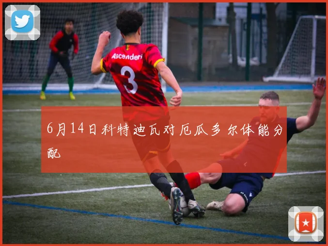 6月14日科特迪瓦对厄瓜多尔体能分配