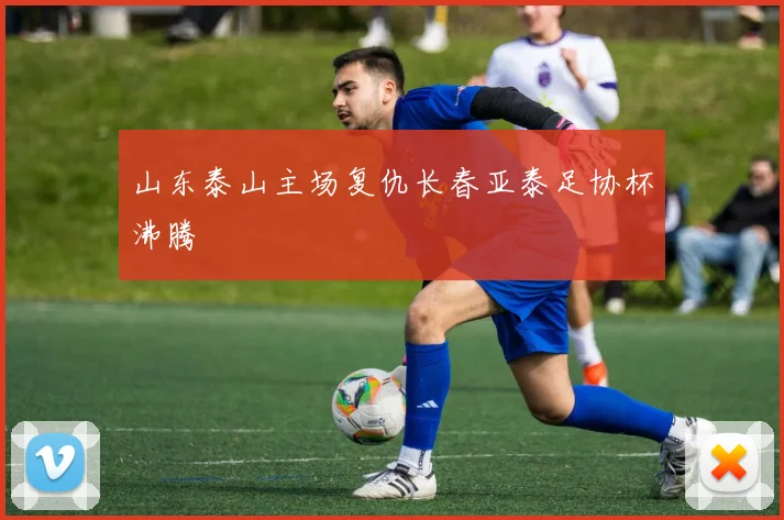 山东泰山主场复仇长春亚泰足协杯沸腾