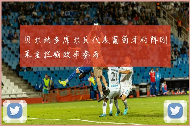 贝尔纳多席尔瓦代表葡萄牙对阵刚果金拦截效率参考
