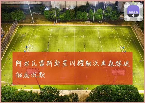 阿尔瓦雷斯新星闪耀勒沃库森球迷彻底沉默