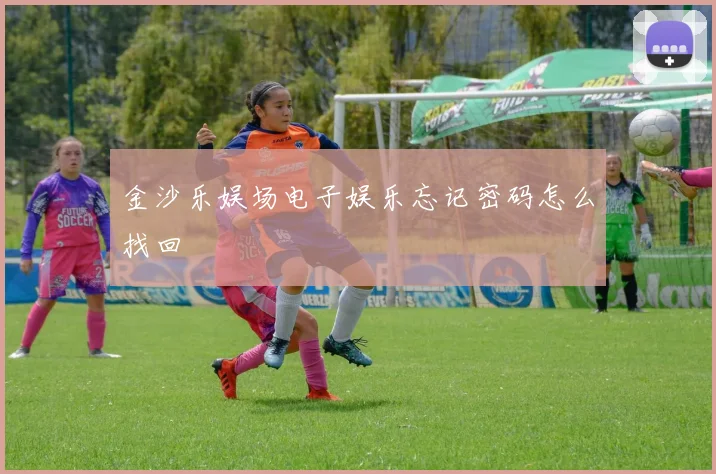金沙乐娱场电子娱乐忘记密码怎么找回