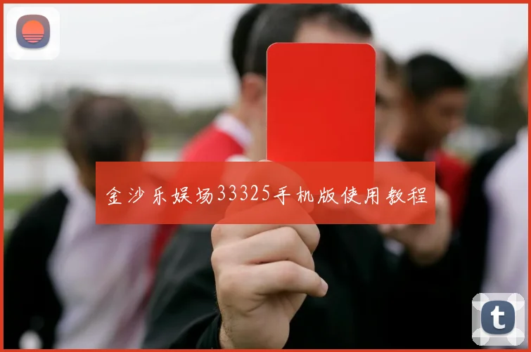 金沙乐娱场33325手机版使用教程